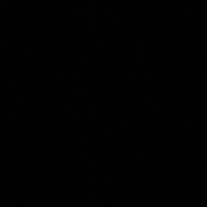 Meet your Posher, Avery